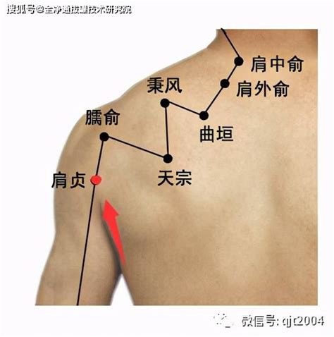 肩ㄩˊ穴|醫砭 » 經穴庫 » 肩髎